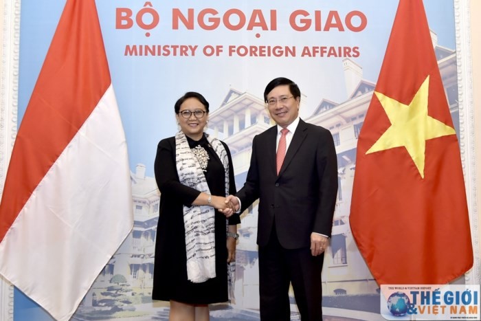 推动越南-印尼战略伙伴关系日益深入全面发展 - ảnh 1