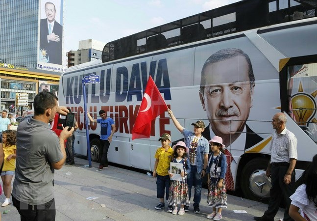土耳其总统和议会选举开始投票 - ảnh 1