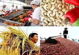 加强对接——越南农产品出口增长的钥匙 - ảnh 2