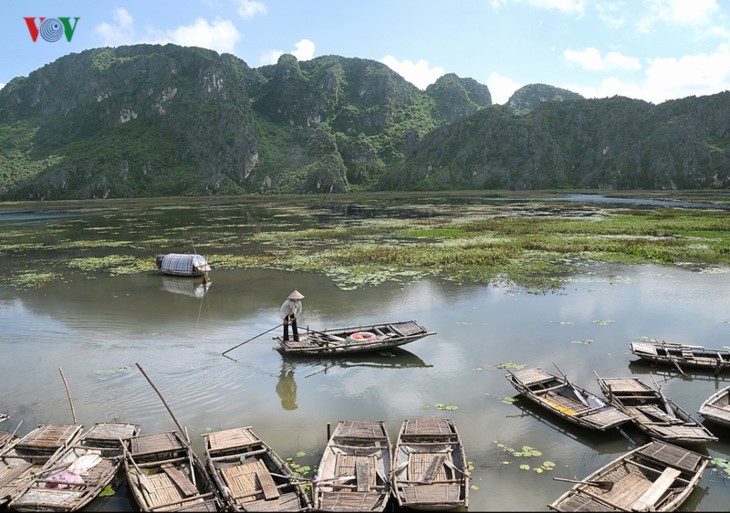 探索越南第9处国际重要湿地-云龙之美 - ảnh 2