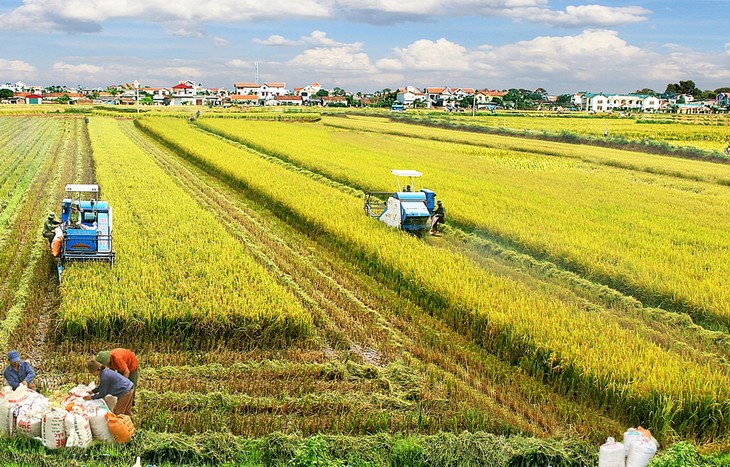 越南实施2030年可持续发展目标路线图 - ảnh 1