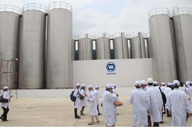 走在越南乳制品产业建设道路上的越南乳制品股份公司 - ảnh 2