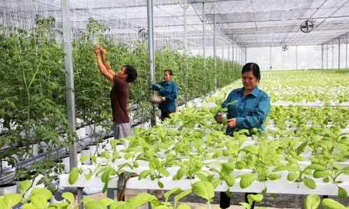 坦桑尼亚希望越南帮助发展农业 - ảnh 1