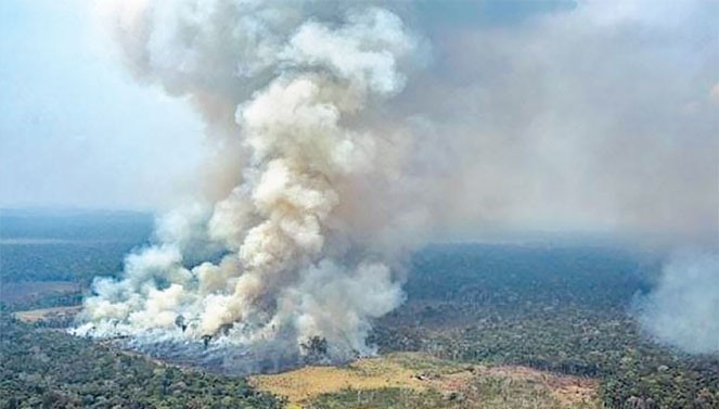 亚马逊大火不是某个国家的内部事务 - ảnh 2