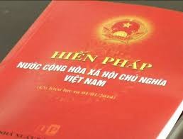 越南国会向2013年版《宪法》5年实施小结报告提供意见 - ảnh 1