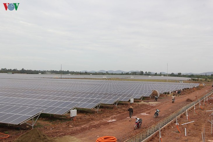 加快发展越南可再生能源 - ảnh 1
