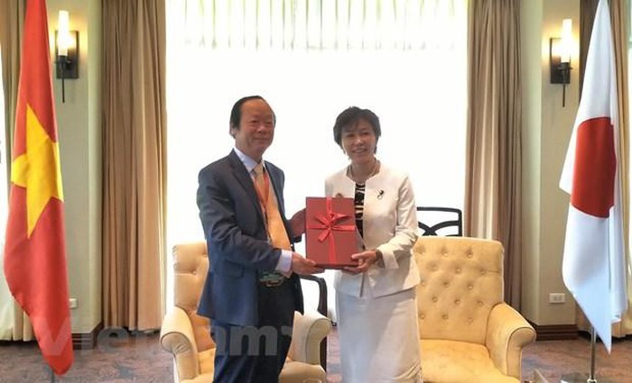 日本支持越南在担任2020年东盟轮值主席国期间开展的环保优先内容 - ảnh 1