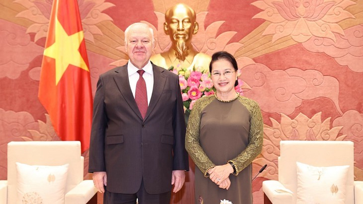   越南国会主席阮氏金银会见俄罗斯驻越大使 - ảnh 1