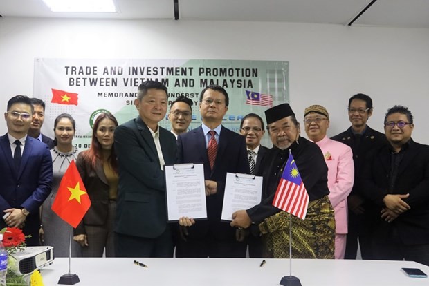 越南与马来西亚企业促进合作 - ảnh 1