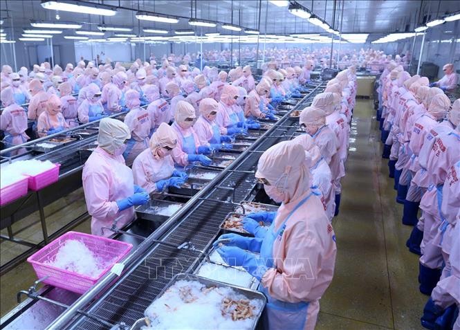 美国取消对越南明富虾产品征收反倾销税是客观公正的决定 - ảnh 1