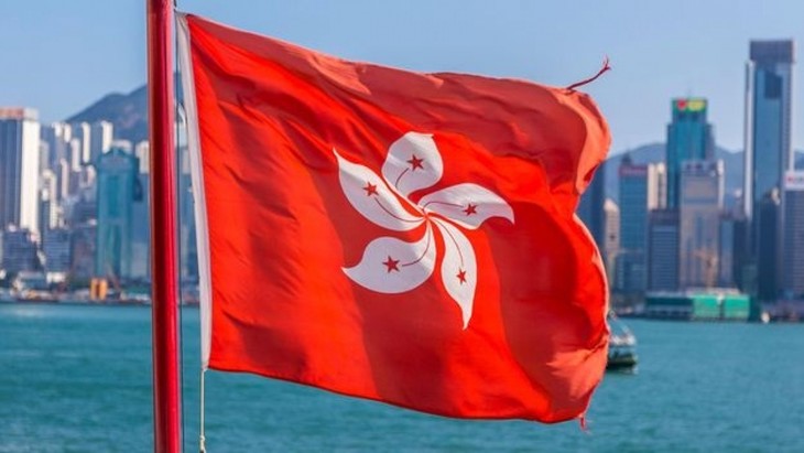 七国集团发表有关改变香港选举制度的联合声明 - ảnh 1