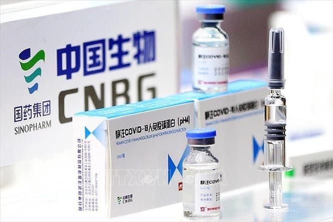 世卫组织将对中国研制的两种新冠肺炎疫苗进行评估 - ảnh 1