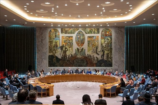 联合国安理会发表声明  敦促结束缅甸暴力 - ảnh 1