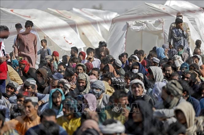 联合国难民事务高级专员署​呼吁各国向阿富汗难民开放边境 - ảnh 1