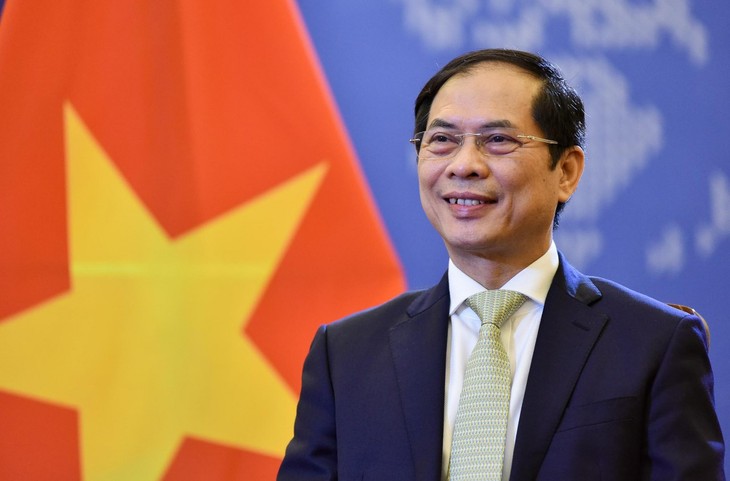  在越共十三大决议的照耀下，越南外交为保卫和发展国家事业做出贡献 - ảnh 1
