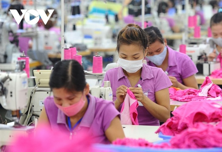 越南纺织服装业重新强劲增长 - ảnh 1