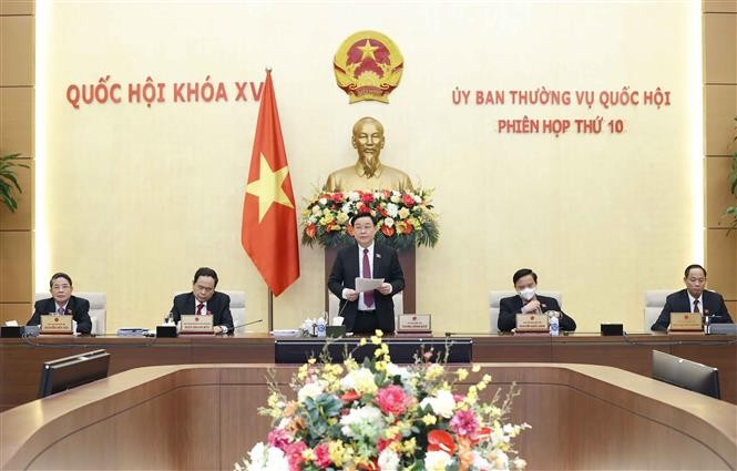 越南第十五届国会常务委员会第十一次会议开幕 - ảnh 1