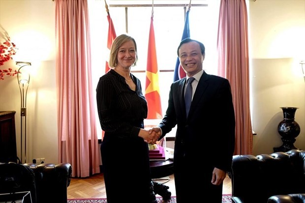 越南与丹麦促进人民交流​巩固双边关系 - ảnh 1