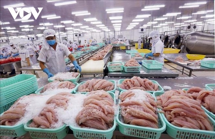 越南再有6家查鱼产品加工企业获准对美出口 - ảnh 1
