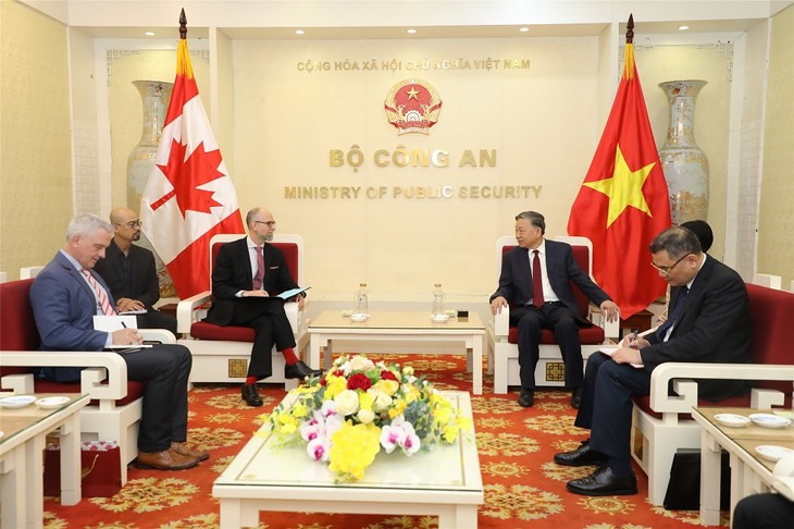 越南公安部长苏林会见加拿大驻越大使斯泰尔 - ảnh 1