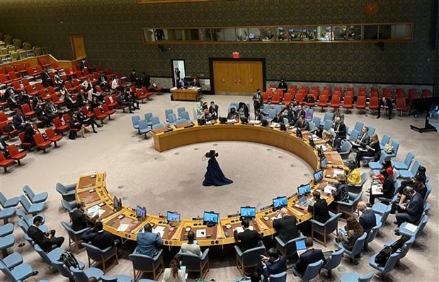 厄瓜多尔、日本、马耳他、莫桑比克和瑞士当选联合国安理会非常任理事国 - ảnh 1
