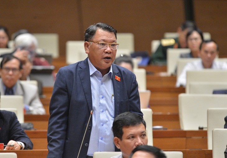 越南国会代表评价国会质询活动 - ảnh 1