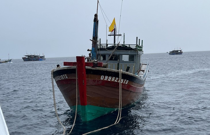 海军第三区指战员营救在海上遇险的广平省渔船 - ảnh 1