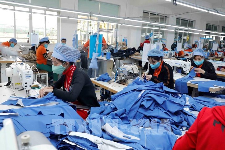 今年上半年纺织品服装出口额同比增长23% - ảnh 1