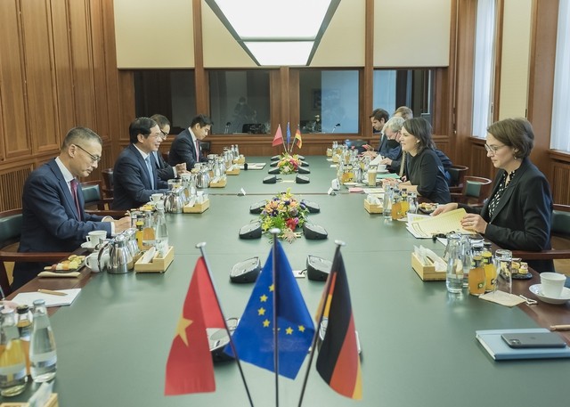 越南外交部长裴青山对德国进行正式访问 - ảnh 2