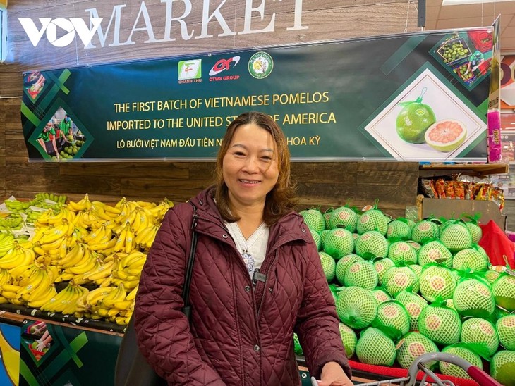 越南绿皮柚子在美国上市 - ảnh 1