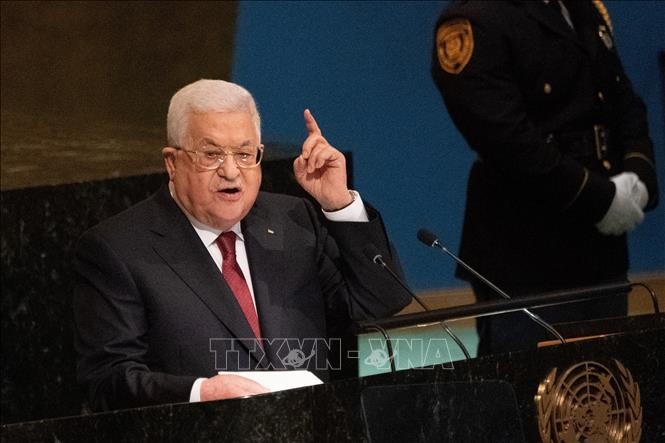 巴勒斯坦、埃及、约旦领导人呼吁保护巴勒斯坦人的权利 - ảnh 1