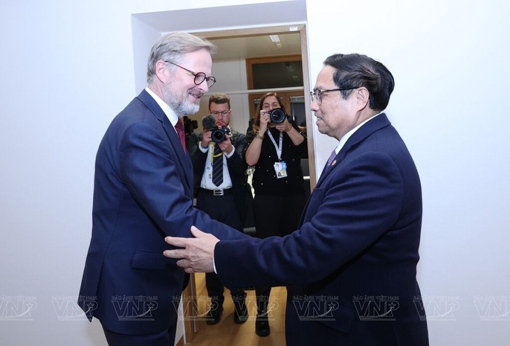 越南政府总理范明政主持仪式欢迎捷克总理菲亚拉访越 - ảnh 1