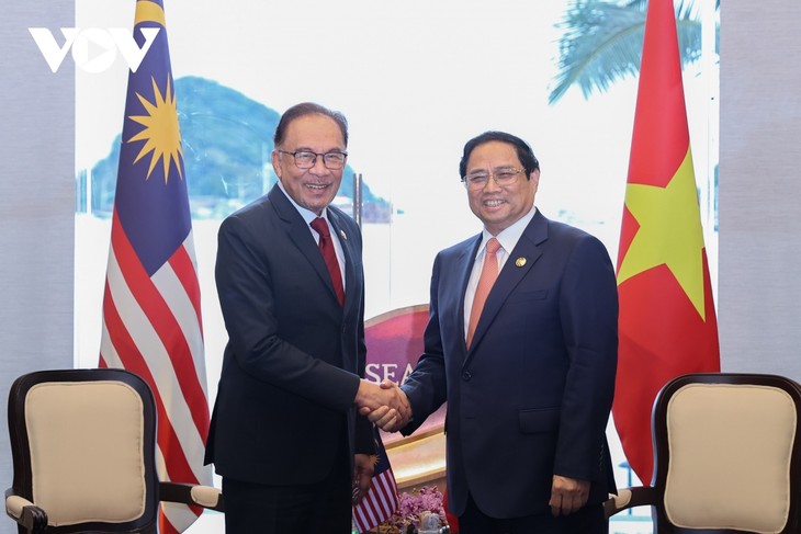 进一步加强越南与文莱、新加坡、老挝、马来西亚和菲律宾的多领域合作关系 - ảnh 4