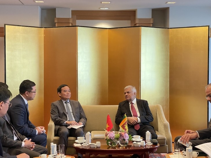 越南政府副总理陈刘光会见斯里兰卡总统和日本众议院议长 - ảnh 1
