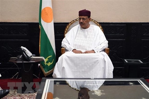 国际社会呼吁释放尼日尔总统巴祖姆 - ảnh 1