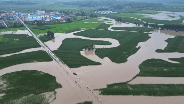 中国洪水可能给全球粮食价格带来压力 - ảnh 1
