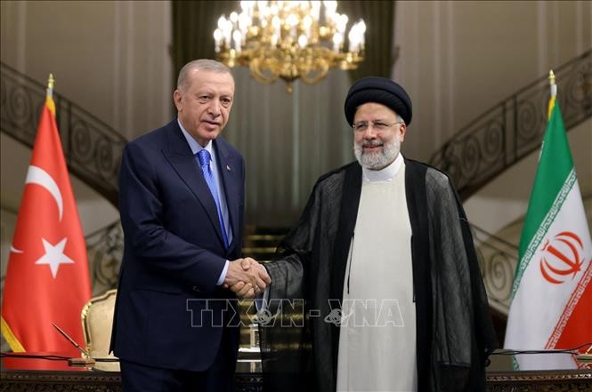 伊朗和土耳其加强双边合作 - ảnh 1
