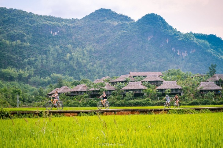 越南观赏金秋的有名景点 - ảnh 6