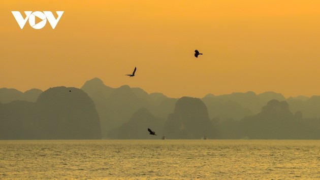 观赏世界自然遗产下龙湾-吉婆群岛奇妙之美 - ảnh 10