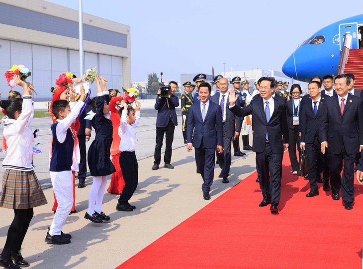 越南国家主席武文赏及其代表团抵达北京 出席第三届“一带一路”国际合作高峰论坛 - ảnh 4