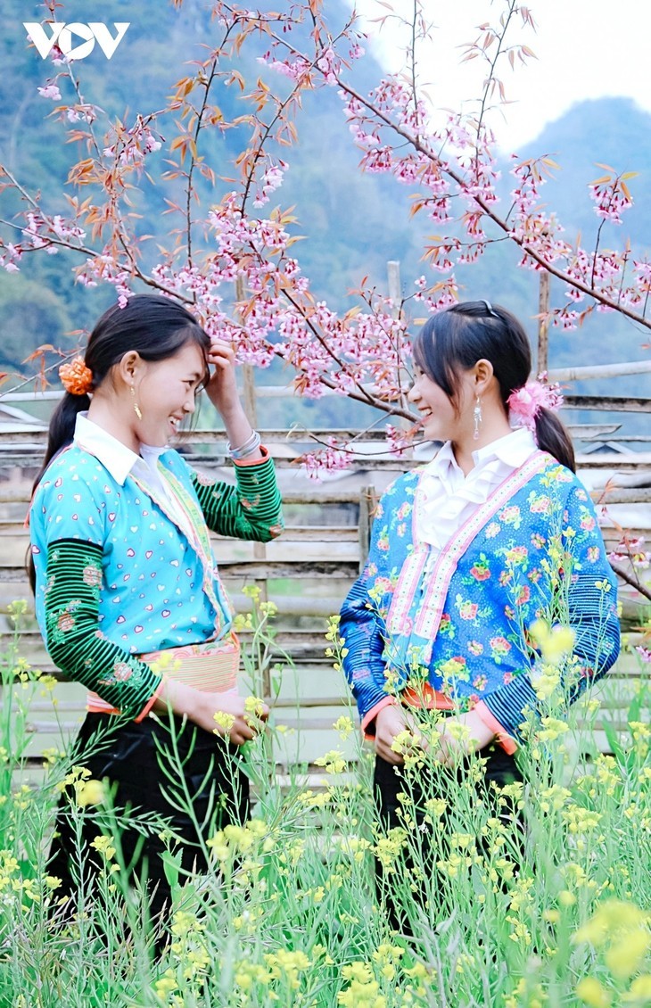 观赏越南西北地区预示着春天到来的山花 - ảnh 6