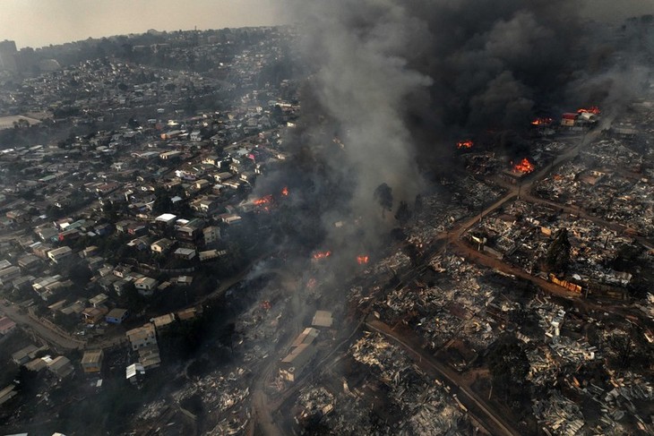 智利宣布为森林火灾遇难者举行全国哀悼活动 - ảnh 1