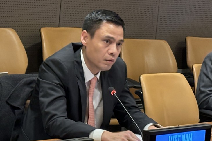 越南担任联合国亚太地区小组主席 - ảnh 1