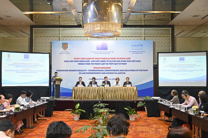 越南在政策和法律制定过程中对性别平等问题做出坚定承诺 - ảnh 1