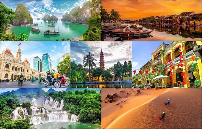 越南在世界旅游界奥斯卡奖的多个类别中获得提名 - ảnh 1