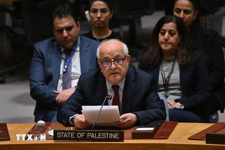 巴勒斯坦在成为联合国正式会员国的道路上迈出了新的一步 - ảnh 1