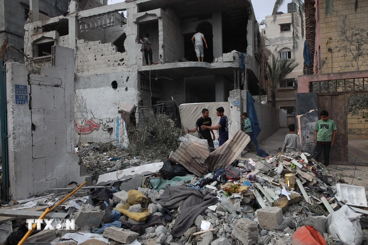 WHO：加沙的伤亡人数没有被混淆或更正 - ảnh 1