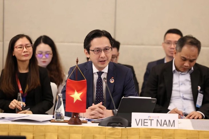   越南出席东盟高官会议、东南亚无核武器区条约委员会执行委员会会议 - ảnh 1