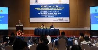 Forum  pelaksanaan Konvensi  tentang HAM (CEDAW) diadakan di Vietnam. - ảnh 1