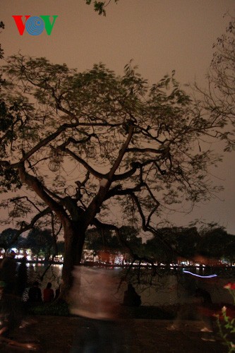 Ibukota Hanoi - satu jam tanpa cahaya lampu - ảnh 9